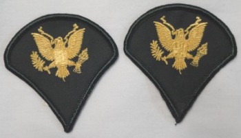 Specialist 4th Class, SP4, Color Sleeve Set
