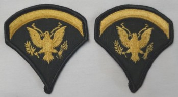 Specialist 5th Class, SP5 Color Sleeve Set