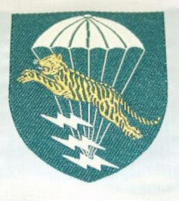 Vietnamese (RVN) Special Forces (LLDB) Division. Woven.