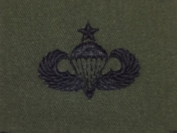 Parachute Qualification Badge, Senior. Subdued.