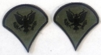 Specialist 4th Class, SP4, Subd Sleeve Set