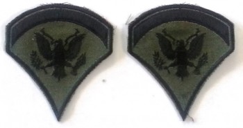 Specialist 5th Class, SP5, Subd Sleeve Set