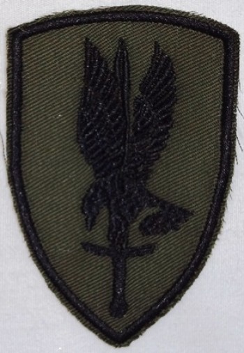 1st. Aviation Brigade, Subd. Twill
